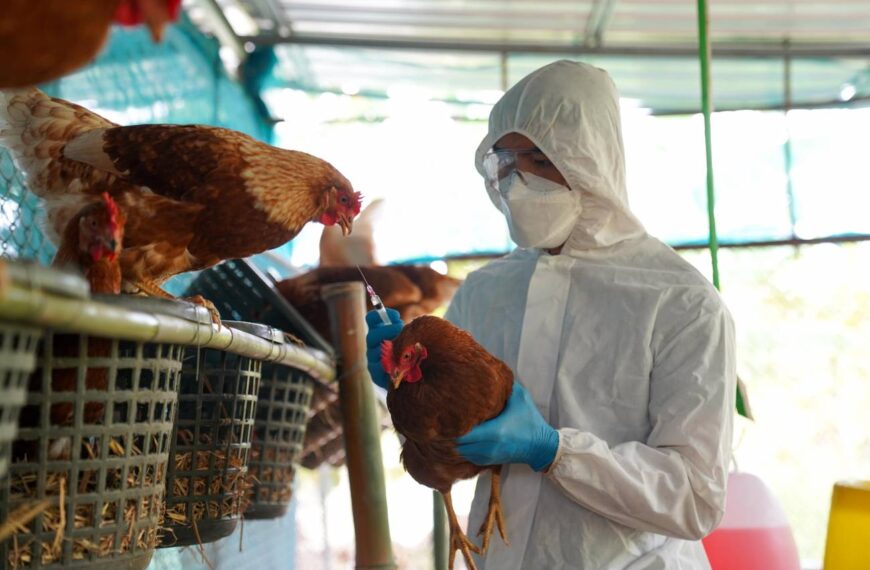 Ministerio de Salud confirma el primer caso humano de gripe aviar en…