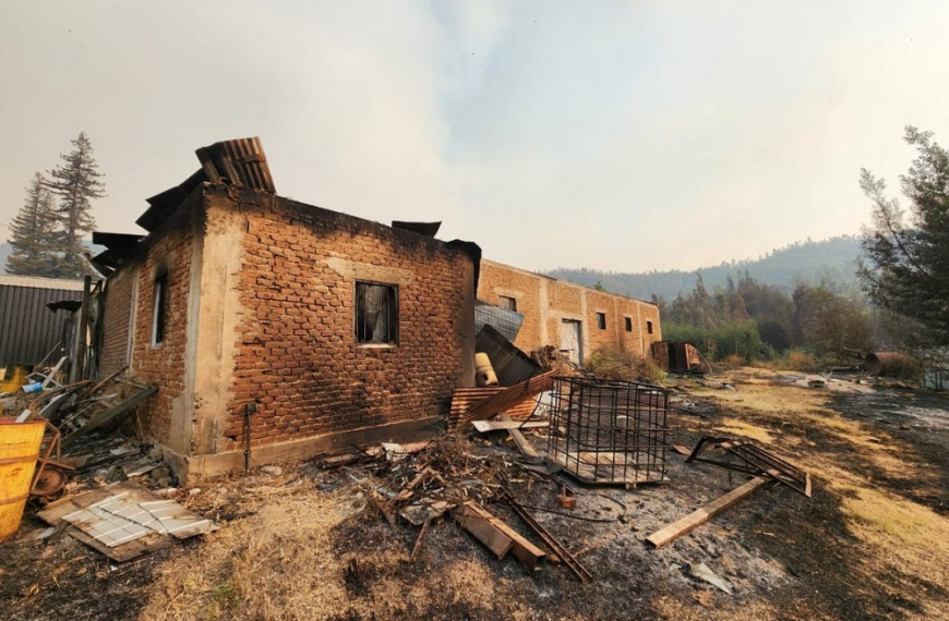 Incendios Forestales Bío Bío: Alerta Roja Activada
