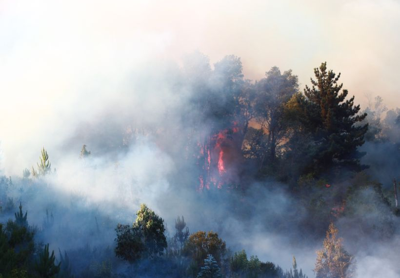 Incendios forestales en La Araucanía: Alerta roja activada