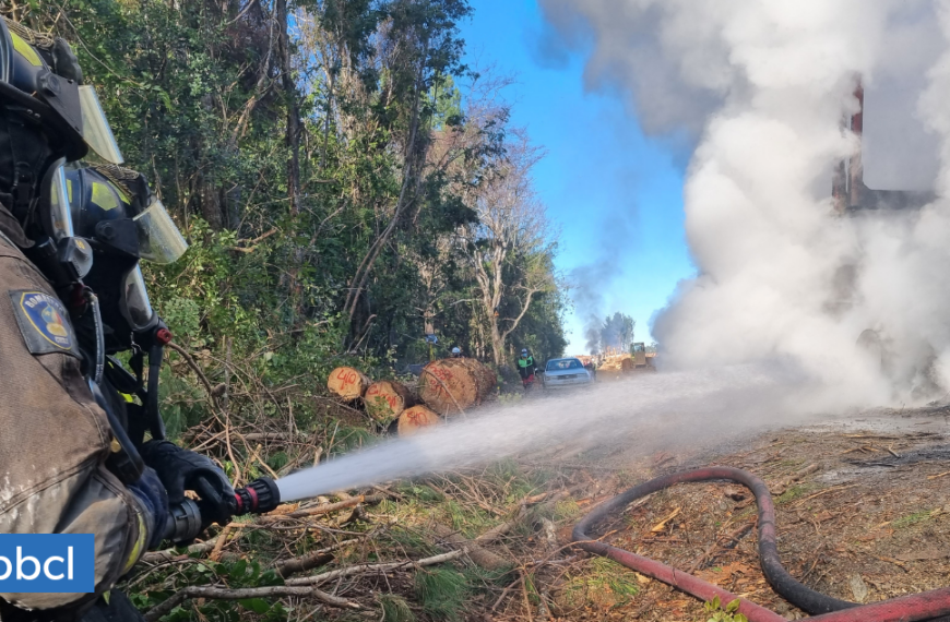Incendios Forestales La Araucanía: Alerta Amarilla Activada