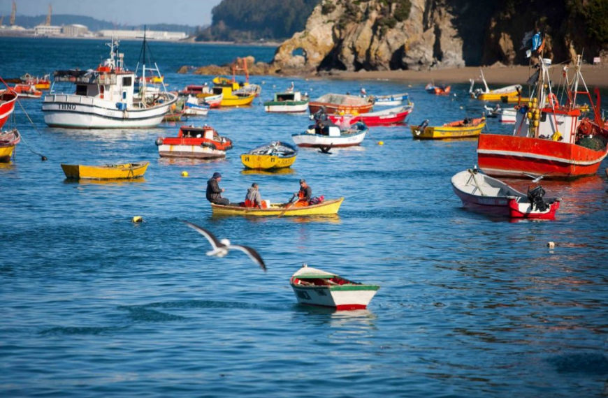 Fraccionamiento Pesquero: Tensión en el Senado