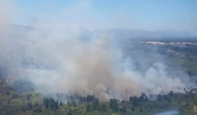 Incendio Forestal Tucapel: Alerta Roja por Emergencia