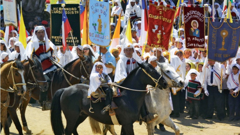 Protección de Caballos Cuasimodo: Únete a la Campaña