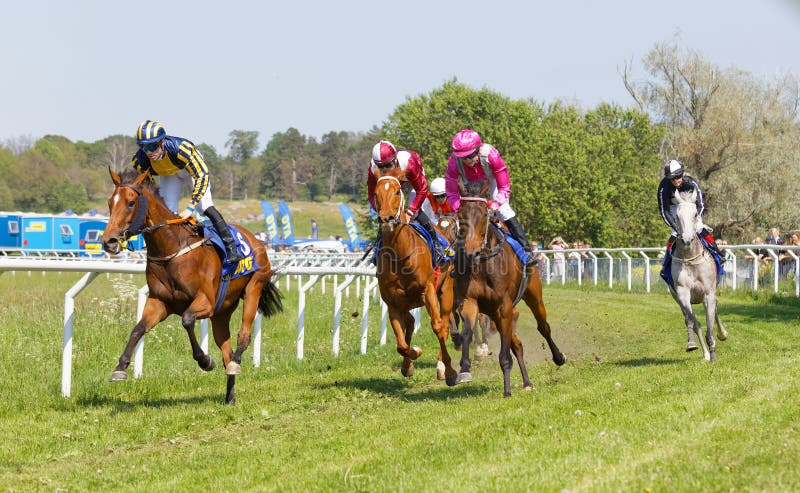 Pelea entre jinetes en rodeo de San Vicente de Tagua Tagua