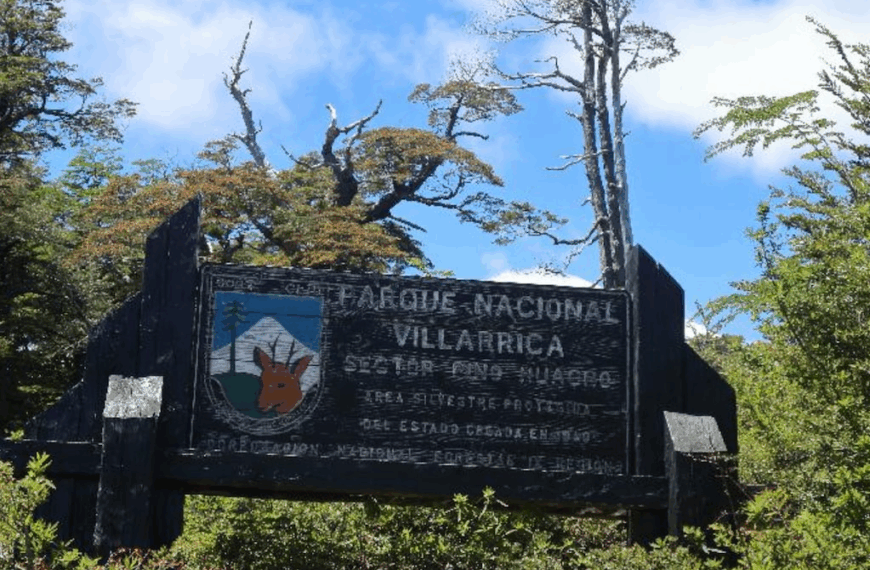 Alerta roja Pucón: intensas lluvias y evacuaciones