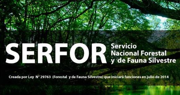 Servicio Nacional Forestal: Nueva Ley y Sus Implicaciones