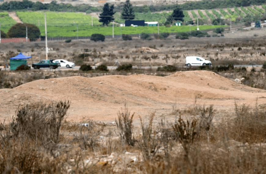 Papaya Gate: Exintendenta y empresarios bajo investigación