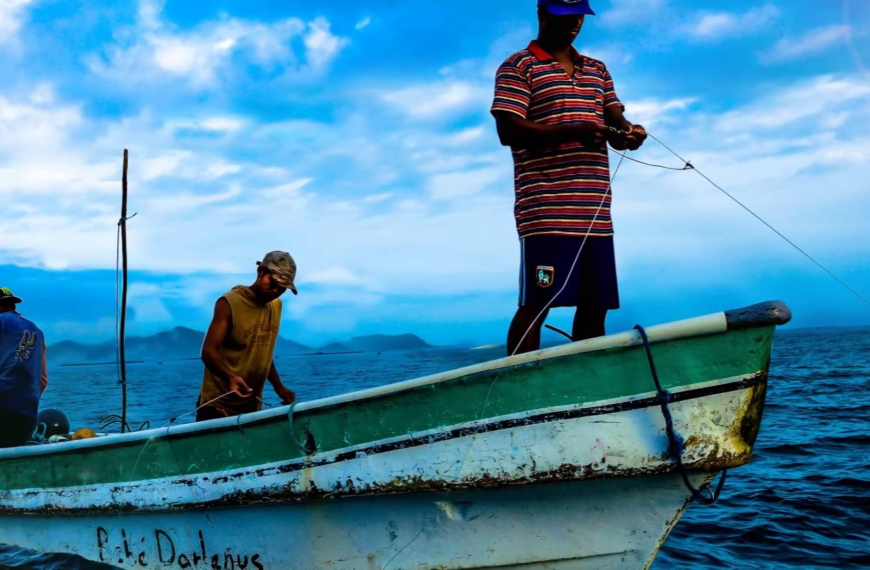 Pesca Artesanal: denuncia de financiamiento irregular en Chile