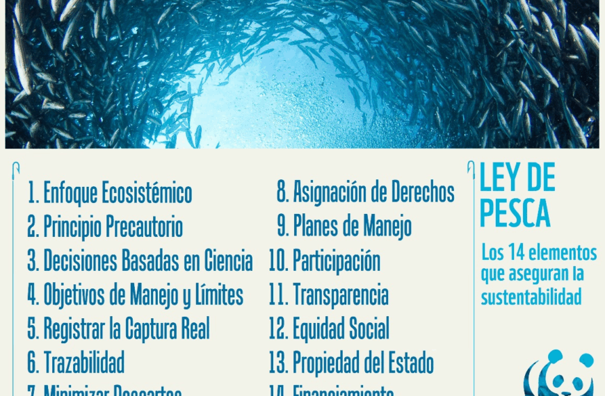 Ley de Pesca: El Debate Actual y las Nuevas Normativas