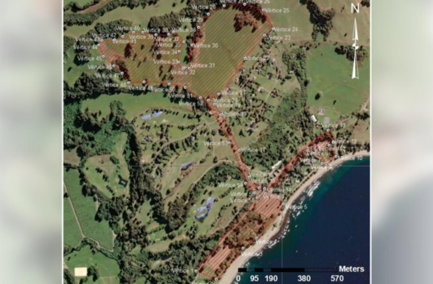 Proyecto inmobiliario Lago Ranco: controversia y aclaraiones