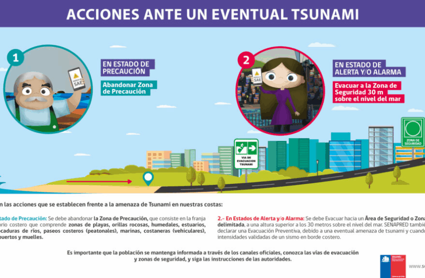 Evacuación por tsunami Magallanes: Actualización de Senapred