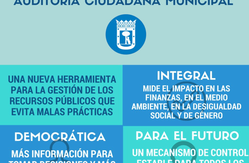 Auditoría municipal recursos públicos: irregularidades 2024