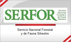Servicio Nacional Forestal: Nuevos Avances y Objetivos