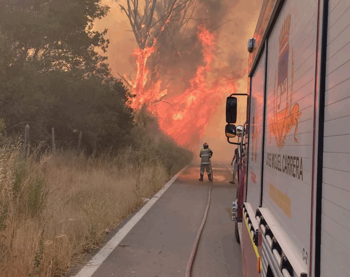 Incendio forestal Santa Filomena consume 800 hectáreas