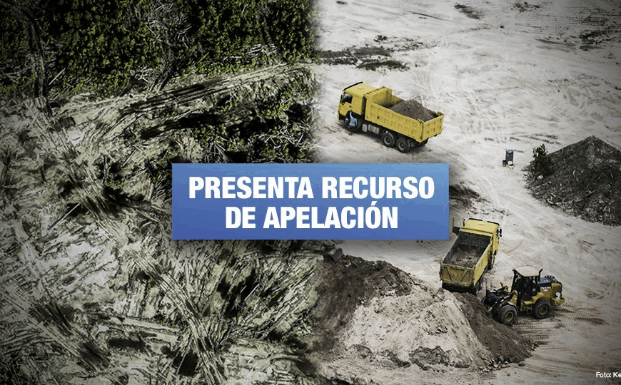 Detención Ilegal Defensora Ambiental en Alto Biobío