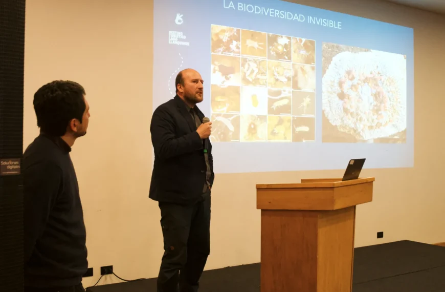 Lago Llanquihue Sostenible: Proyecto de Turismo Responsable