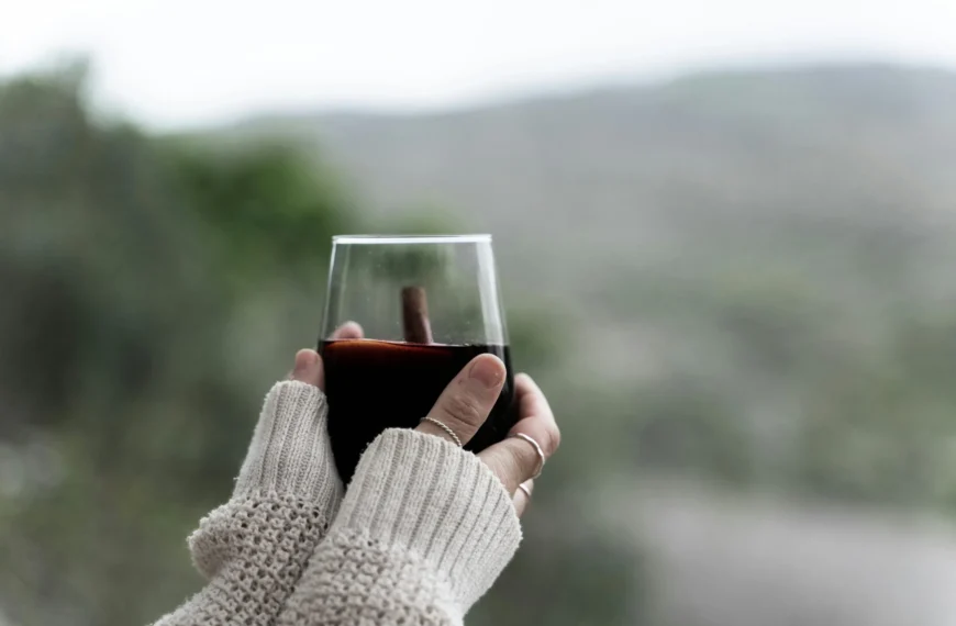 Vinos de invierno: Selección especial de La Vinoteca