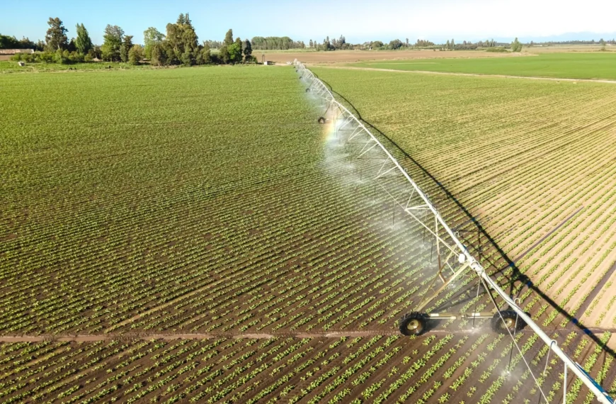 Certificación de sostenibilidad agrícola: Empresas Iansa brilla