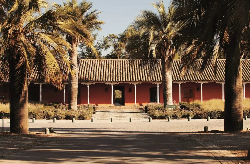 Santa Rita: La mejor viña del mundo en 2025