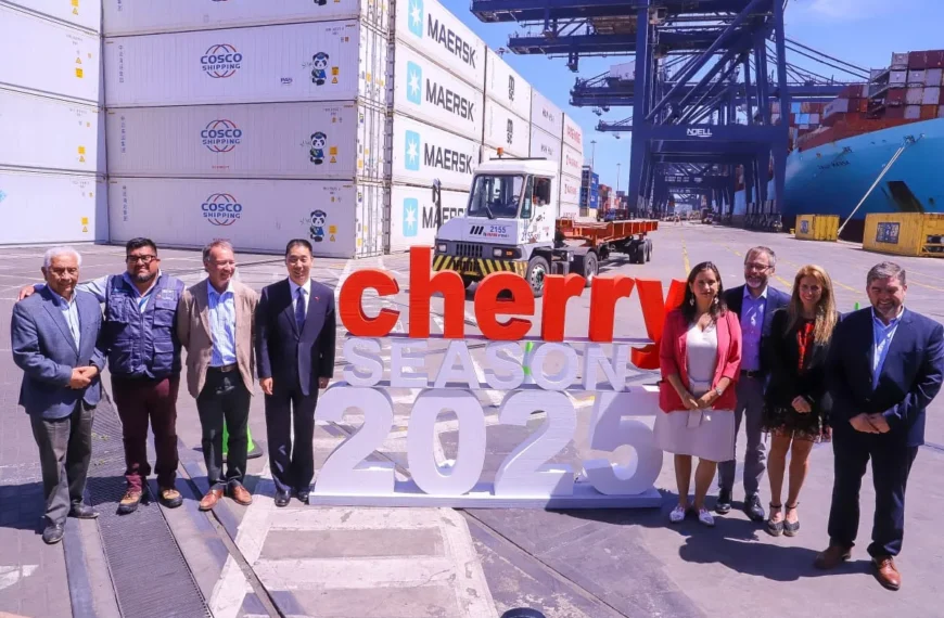 Exportación de cerezas: Nuevos servicios en San Antonio