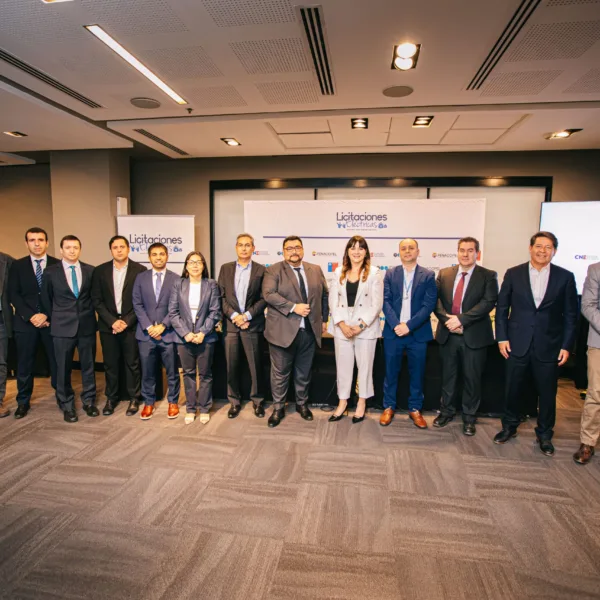 Licitación eléctrica: Resultados y próximo suministro 2026