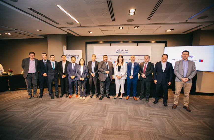 Licitación eléctrica: Resultados y próximo suministro 2026