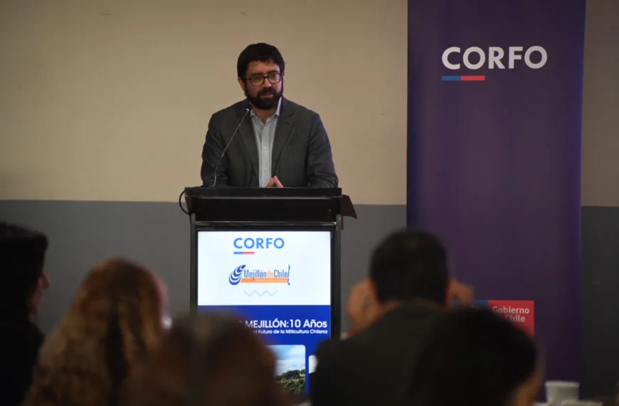 Chorito como Superalimento: Celebrando 10 Años de Éxitos