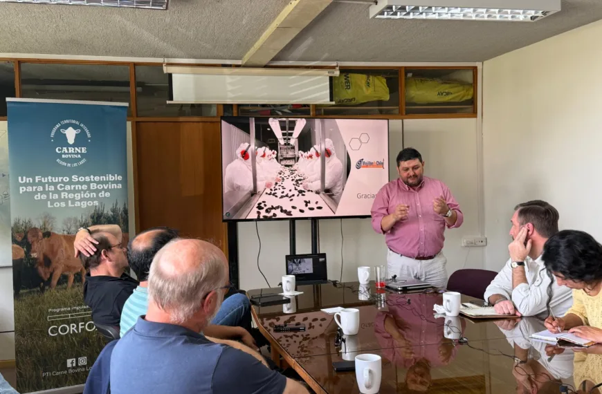 Gobernanza del Programa Territorial Integrado: Claves para el Futuro Ganadero