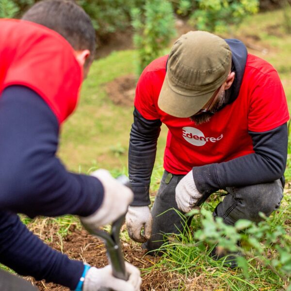 Sostenibilidad: ¿Cómo Edenred Avanza en Acción Climática y ESG?