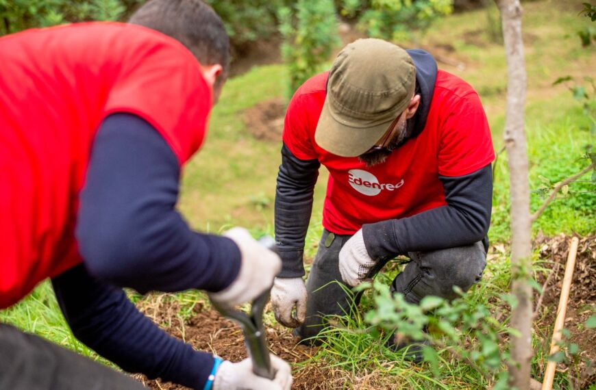 Sostenibilidad: ¿Cómo Edenred Avanza en Acción Climática y ESG?