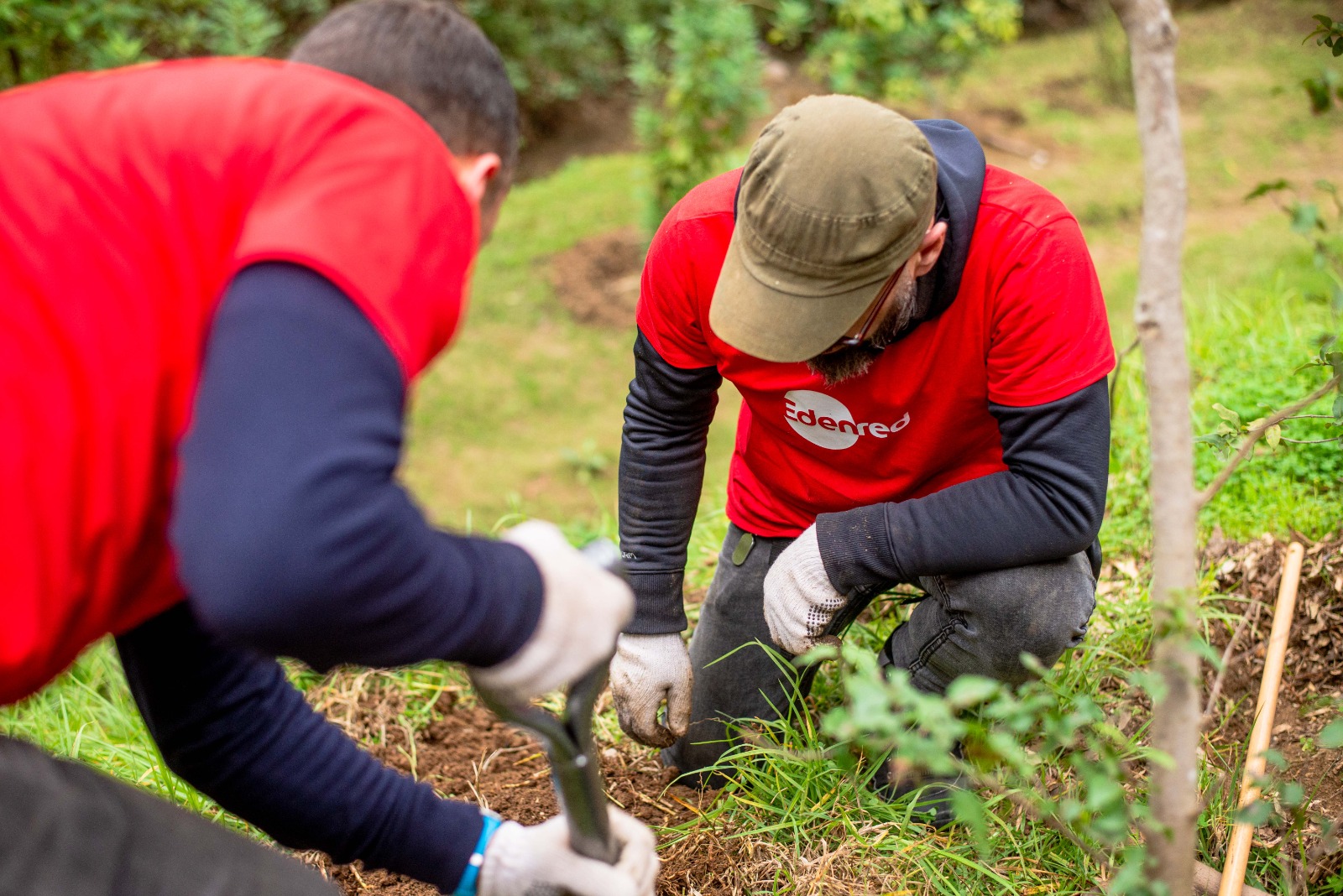 Sostenibilidad: ¿Cómo Edenred Avanza en Acción Climática y ESG?