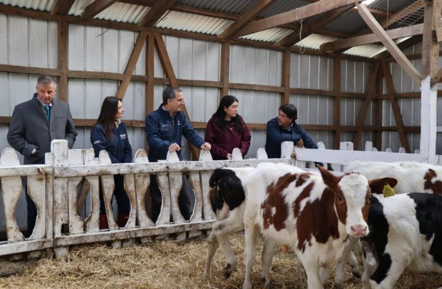 Producción Lechera: La Innovación Tecnológica que Transformó la Región