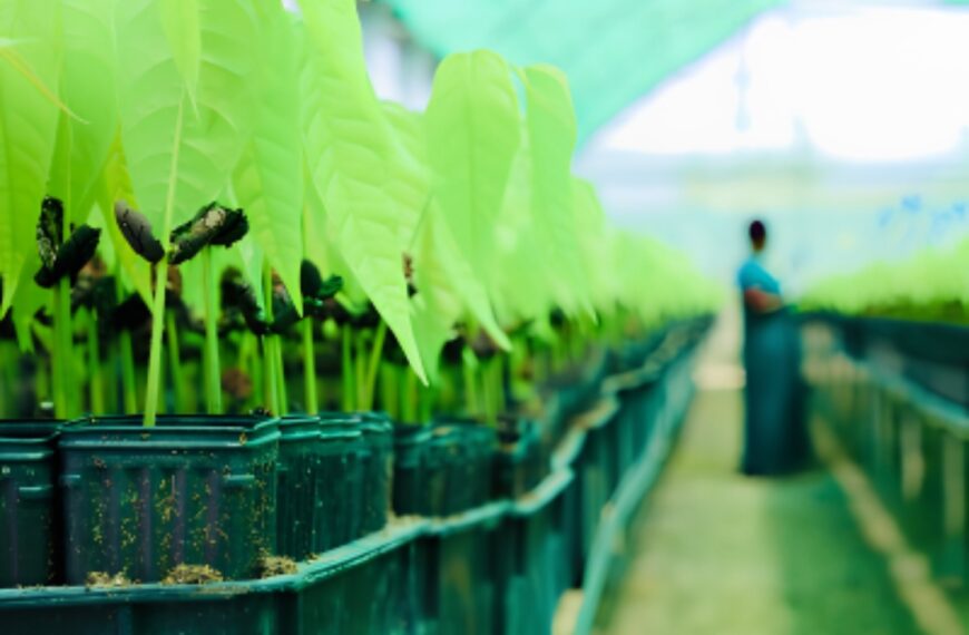 Sostenibilidad: Cómo Mondelēz Impulsa Decisiones más Eco-Amigables