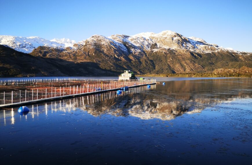 Sostenibilidad en la Salmonicultura: Invermar se Une a SalmonChile