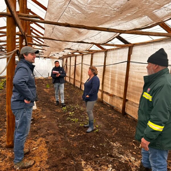 Emergencia por lluvias: Impacto en la agricultura y el apoyo de INDAP