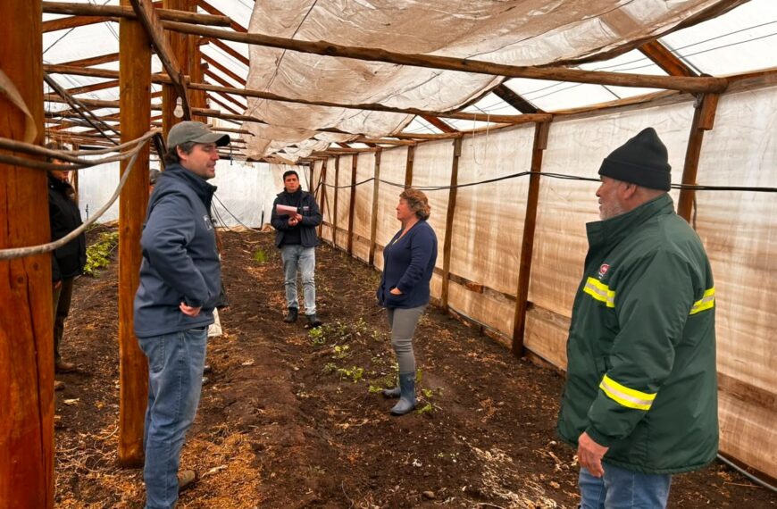 Emergencia por lluvias: Impacto en la agricultura y el apoyo de INDAP