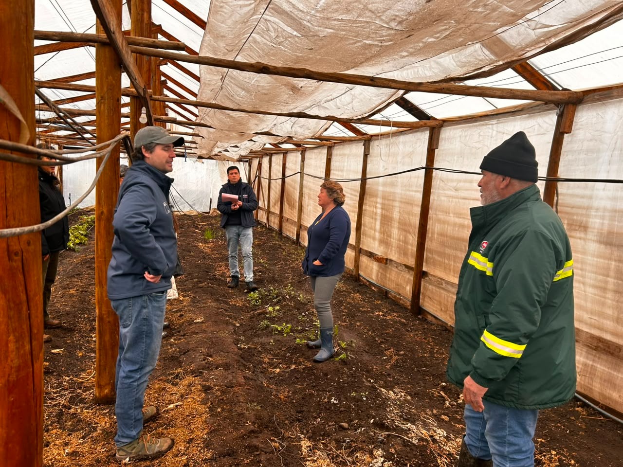 Emergencia por lluvias: Impacto en la agricultura y el apoyo de INDAP